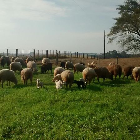 Chalés Rincão Comprido Canela Esterno foto