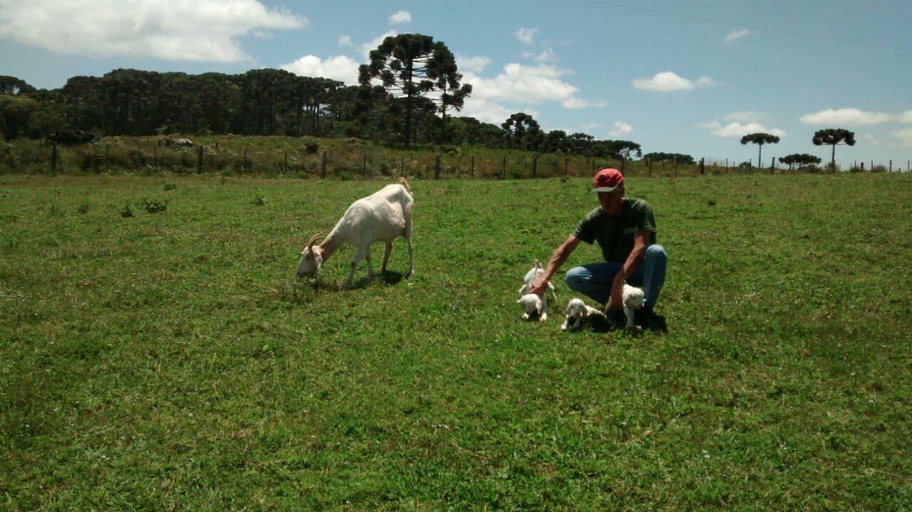 Chalés Rincão Comprido Canela Esterno foto